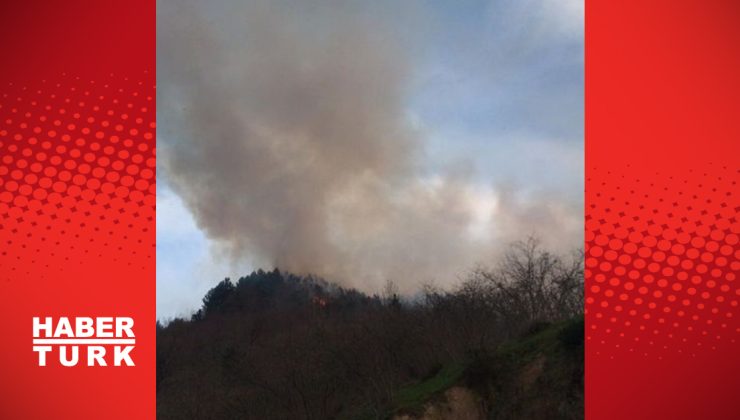 Karasu’da orman yangını