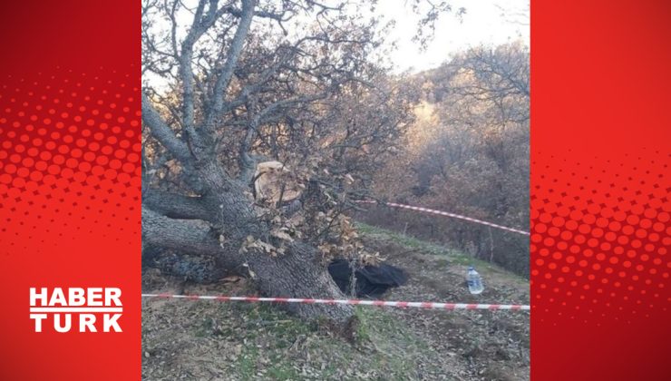 Kestiği ağacın altında kalan kişi öldü