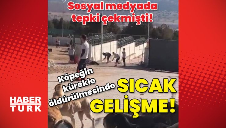 Konya’da köpeğin kürekle öldürülmesi olayında sıcak gelişme!