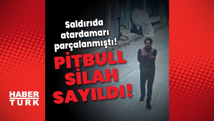 Saldırıda atardamarı parçalanmıştı! Pitbull silah sayıldı