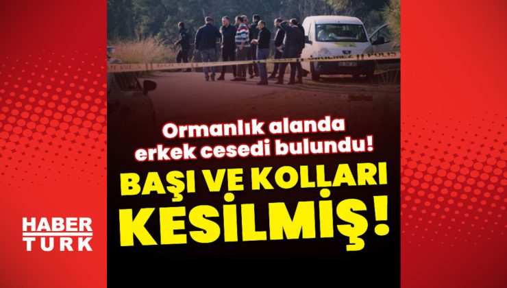 Tam vahşet! Kafası ve kolları olmayan ceset bulundu