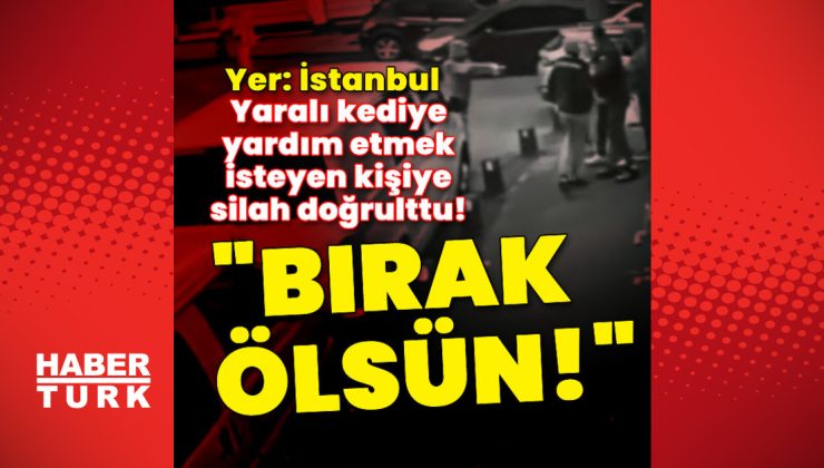 Yaralı kediye yardım etmek isteyen kişiye silah doğrulttu!