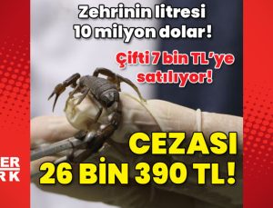 Zehrinin litresi 10 milyon dolar! Çifti 7 bin TL! Cezası 26 bin 390 TL!