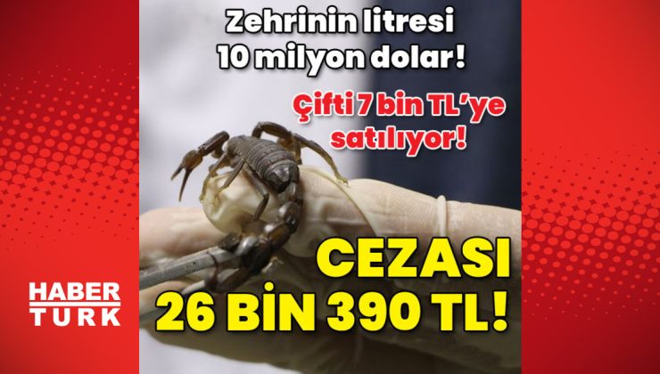 Zehrinin litresi 10 milyon dolar! Çifti 7 bin TL! Cezası 26 bin 390 TL!