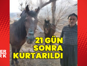 21 gün sonra sağ çıktı!