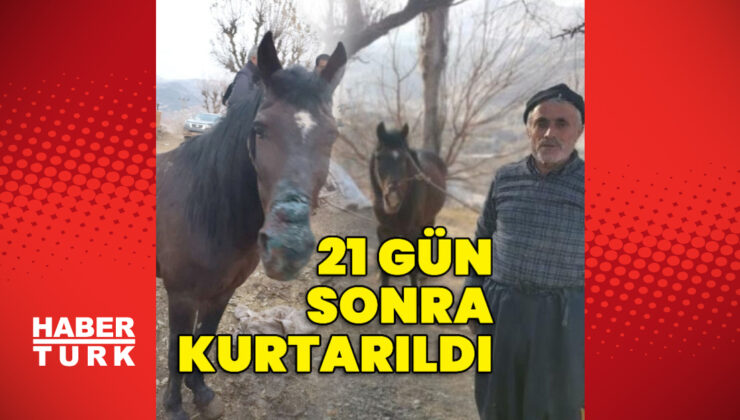 21 gün sonra sağ çıktı!