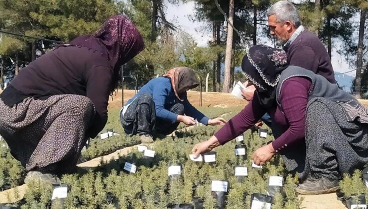 Depremde hayatını kaybedenlerin isimleri fidanlarda