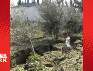 Fay hattının ikiye böldüğü çiftlik çöktü