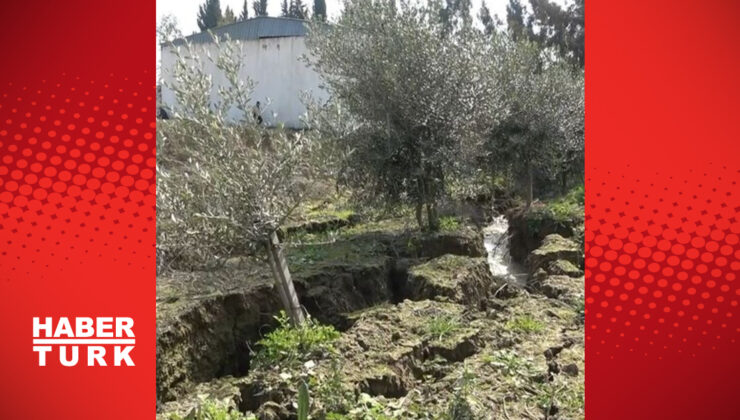 Fay hattının ikiye böldüğü çiftlik çöktü