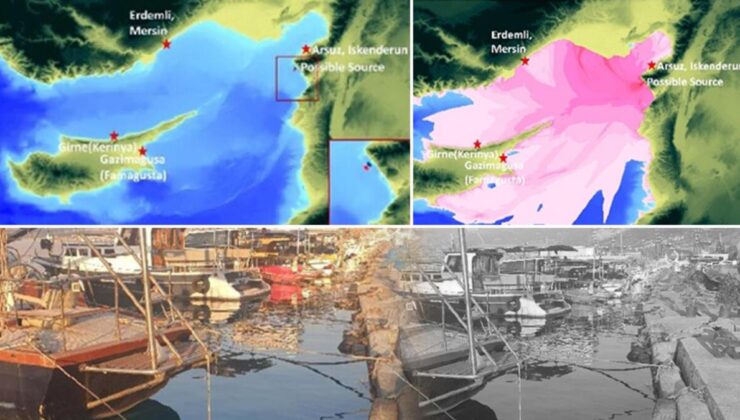 ODTÜ deprem sonrası tsunami raporunu tamamladı: 20 santimetrelik değişiklik