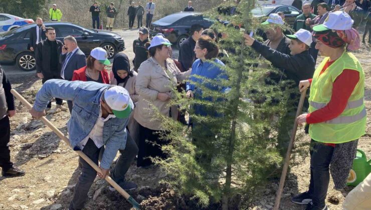 Bartın’da fidanlar, deprem şehitleri için toprakla buluşturuldu