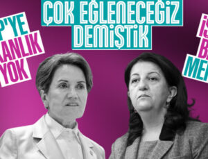 HDP’den Meral Akşener’e: Herkes işine baksın