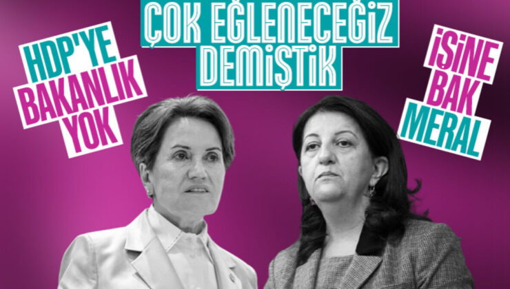 HDP’den Meral Akşener’e: Herkes işine baksın