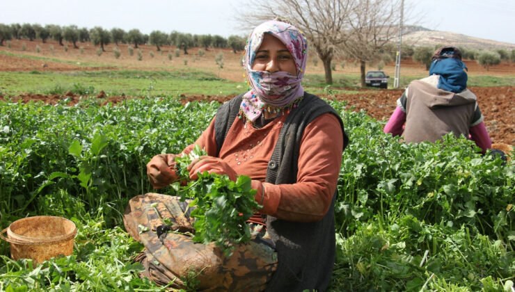 Kilis’te depremzede kadınlar 8 Mart Dünya Kadınlar Günü’nde de işlerinin başında