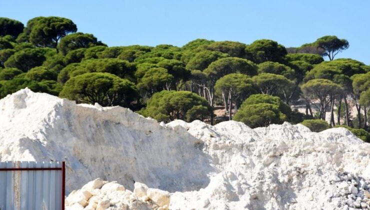 Tarım ve orman alanları düzenlemesi Tarım Komisyonu’ndan geçti