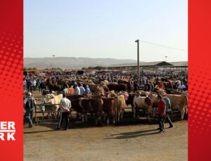 Yozgat’ta canlı hayvan pazarları kapatıldı