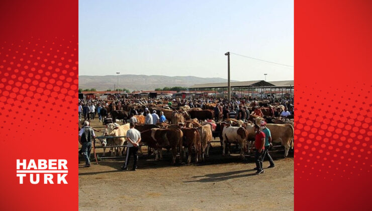 Yozgat’ta canlı hayvan pazarları kapatıldı