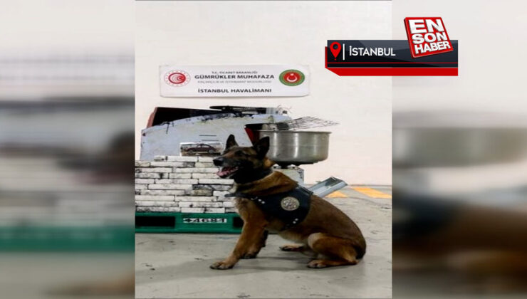 İstanbul Havalimanı’nda hamur makinesinden kokain çıktı