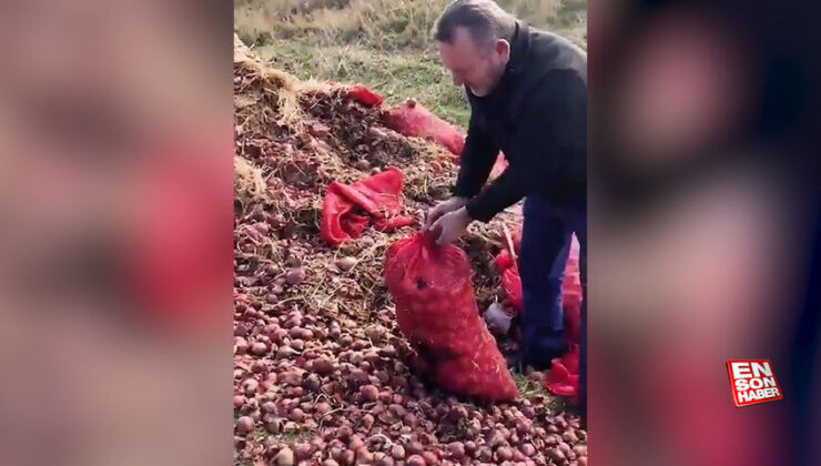 Vatandaşlar isyan etti: Tonlarca soğan yol kenarına döküldü