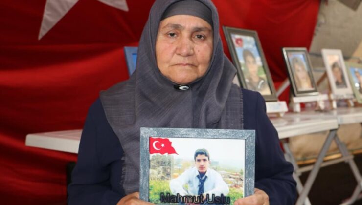 Evlat nöbetindeki anne: Devletimizin gücüyle oğlumu PKK’nın elinden alacağım