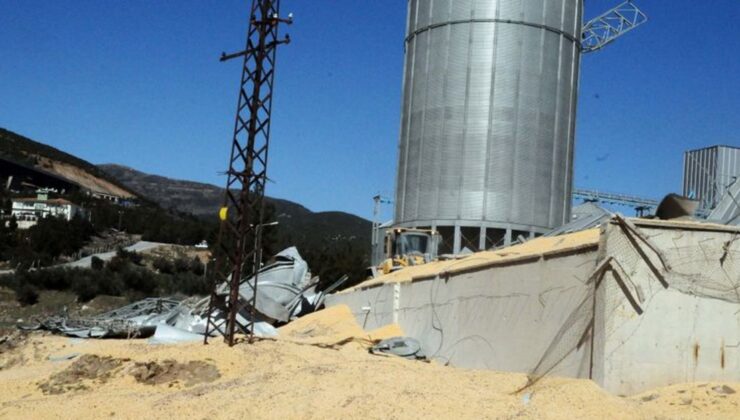 ‘TMO deprem bölgesinde tahılı tarladan alsın’ talebi