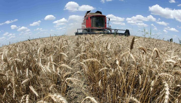 Küresel gıda fiyatları Mayıs’ta geriledi