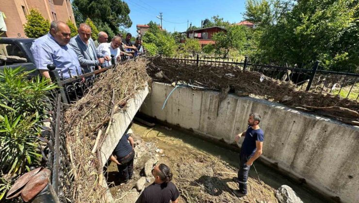 Yusuf Aldatmaz Amasra Horhor deresinde incelemelerde bulundu