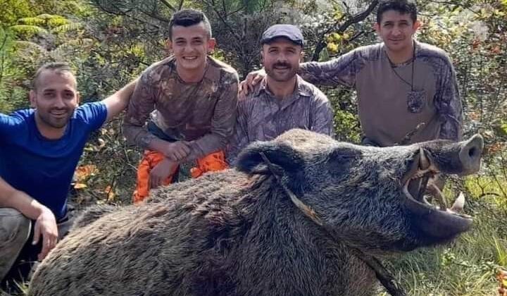 Bartın’da üreticinin domuz seferberliği