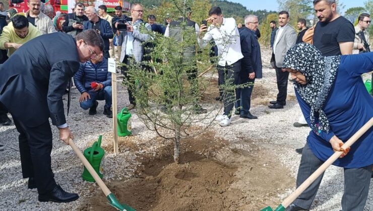 Patlamada şehit olan 43 madenci hatıra ormanında yaşatılacak