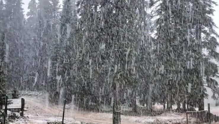 Bartın ve Zonguldak’ta mevsimin ilk kar yağışı başladı