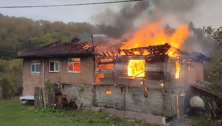 Bartın’da çıkan yangında 2 ev kül oldu