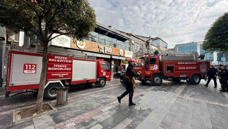 Mahsur kalan kedileri itfaiye kurtardı