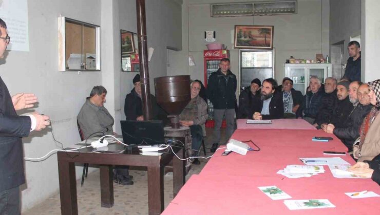 300’den fala bitkiye zarar veriyor