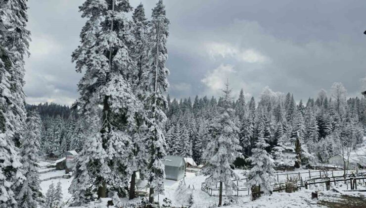Düzce’nin yüksek tepeleri beyaza büründü