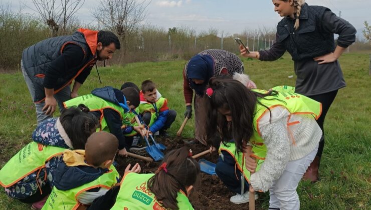 Fidanın ağaca nasıl döndüğünü öğrendiler