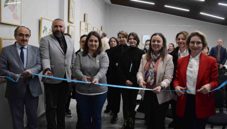 İstanbul dışında ilk kez Düzce’de sergilendi