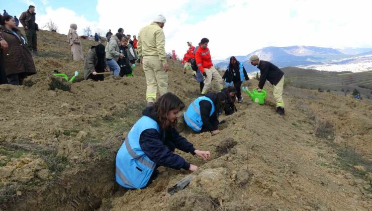 Karabük’te 3 bin 500 fidan toprakla buluşturuldu