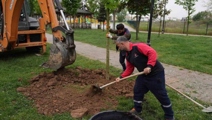 5 yılda 7 bin 140 ağaç toprakla buluştu
