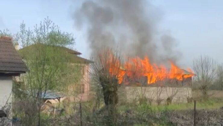 Düzce’de ahır ve samanlık yangını: 3 hayvan telef oldu