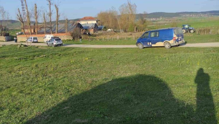 Kestiği ağacın altında kalan şahıs öldü