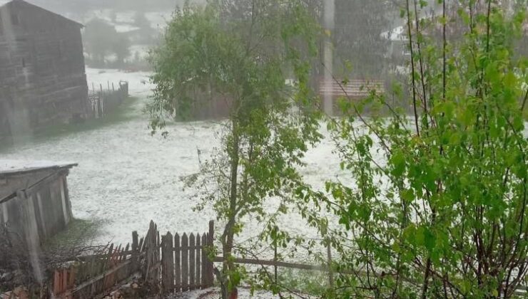 Dolu sonrası köy beyaz örtüyle kaplandı, tarım arazileri zarar gördü