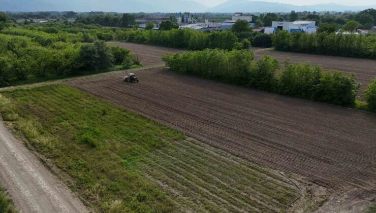 Düzce Belediyesi’nden tarımsal üretime katkı