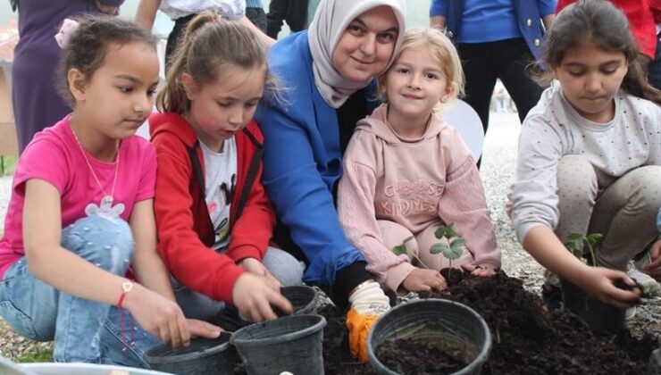 Öğrencilerle birlikte çilek fidesi dikti