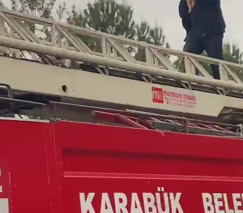 Yurt bahçesindeki ağaçta mahsur kalan kedi kurtarıldı