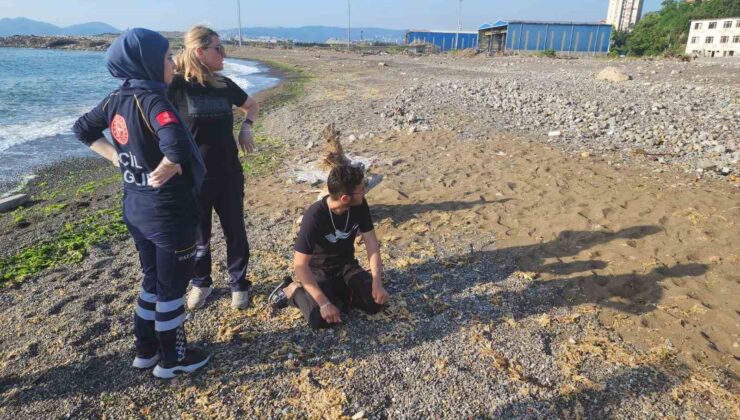 Denizde kaybolan üniversite öğrencisinin cesedi bulundu