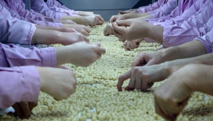 Düzce’de 5 bin 611 ton fındık ihraç edildi