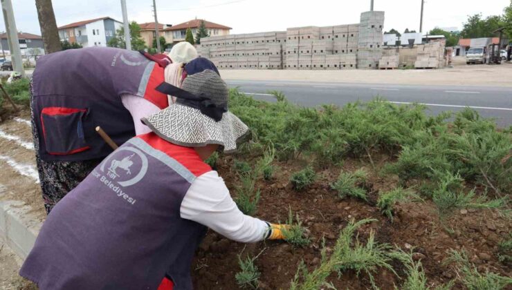 Düzce’nin dört bir yanı çiçeklendiriliyor
