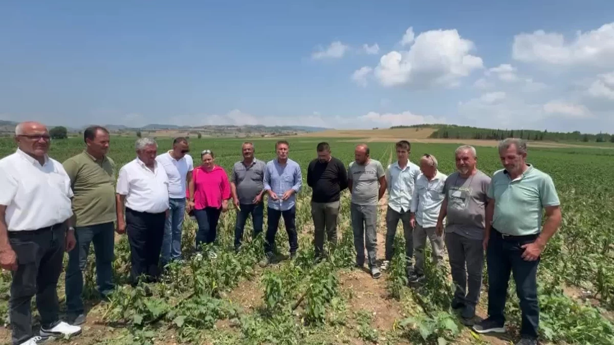 CHP Milletvekili Tarım Sigortası İstedi