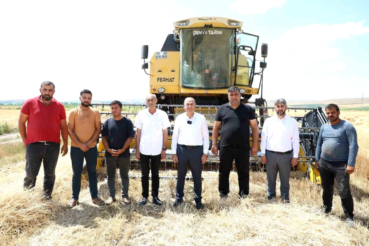 Çorum’un Alaca ilçesinde hasat dönemi başladı