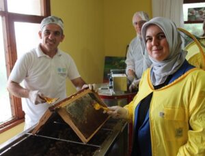 Kestane balı sağımı başladı